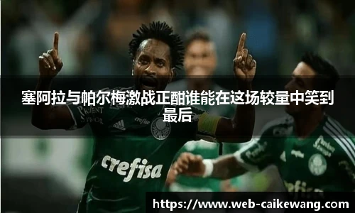 塞阿拉与帕尔梅激战正酣谁能在这场较量中笑到最后