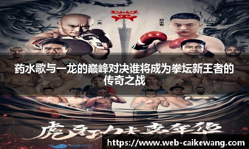 药水歌与一龙的巅峰对决谁将成为拳坛新王者的传奇之战