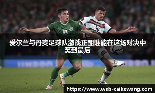 爱尔兰与丹麦足球队激战正酣谁能在这场对决中笑到最后
