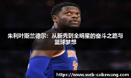 朱利叶斯兰德尔：从新秀到全明星的奋斗之路与篮球梦想